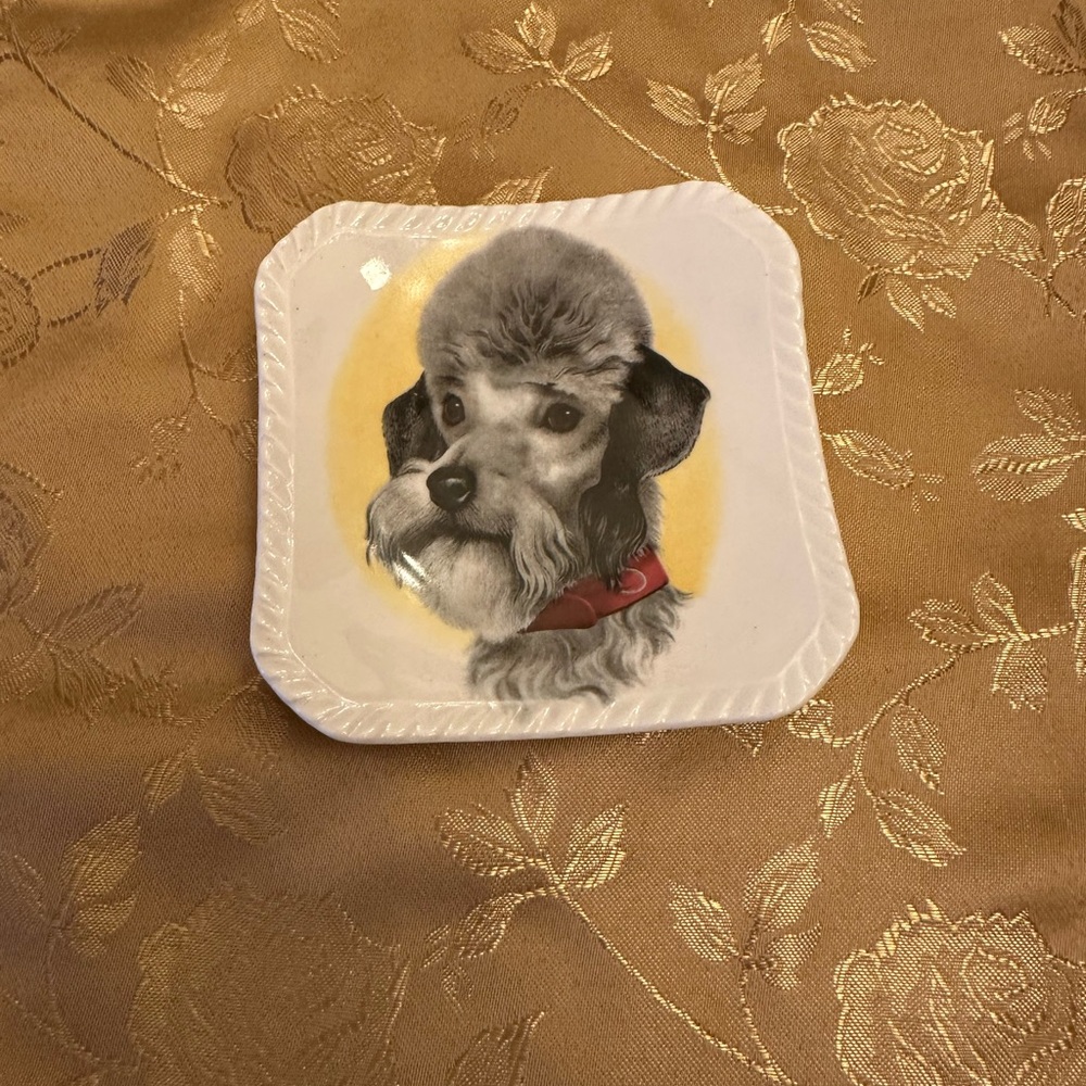 Royal Adderley Bone China Poodle Dog Portrait  trinket dish 4"